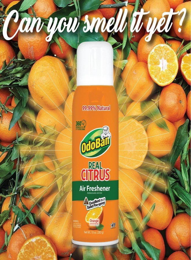 OdoBan Aroma Eliminator Set, Made in the USA, 10 Ounce Toilet Spray 360-Degree Continuous Spray Natural Oil Real Citrus Orange Air Freshener and 14 Ounce Solid Scent Absorber - Image 2