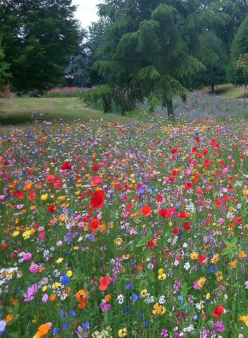 GGOOT Mix of 21 Wildflower Seeds UK Mix Annual Meadow Save Plants Attracts Bees & Butterfly Pure Mix 3 Animal Friendly, UK Supplier Flower Seeds 250g - Image 1