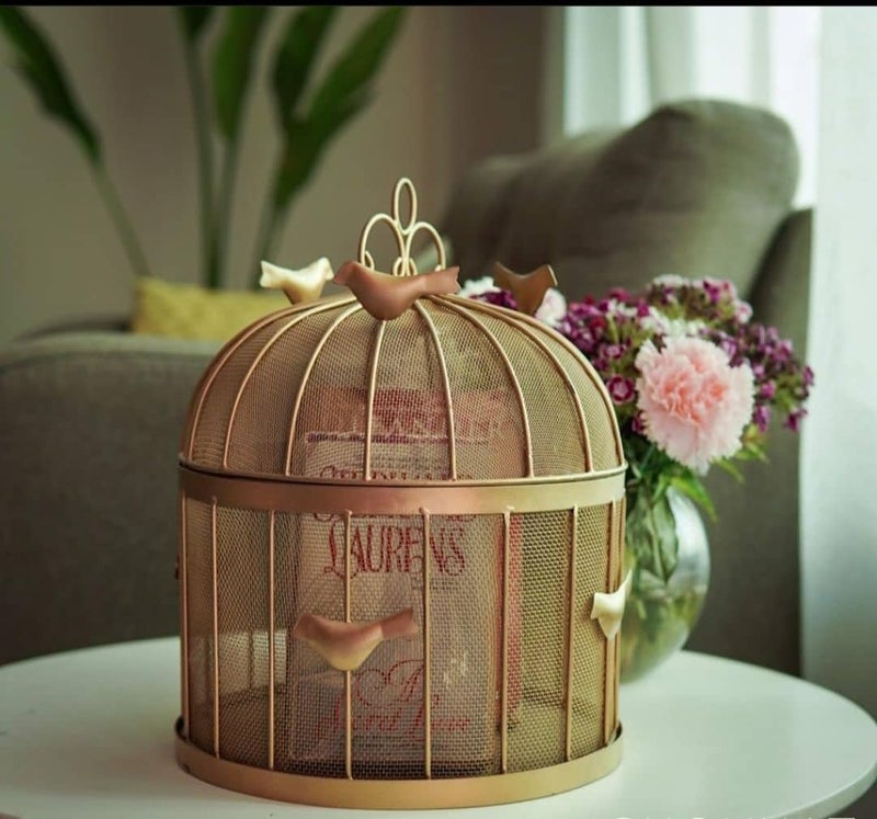 RIZIK STORE™ Modern metal fruit basket with mesh lid suitable for keeping fruits, vegetables (Gold) - Image 2
