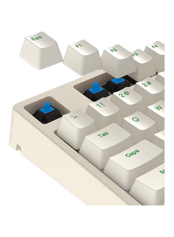 Ikbc C108, Coffee Color, 108-Key Wired Mechanical Keyboard, Cherry Mx Brown Switches, Blue Switches - Image 2