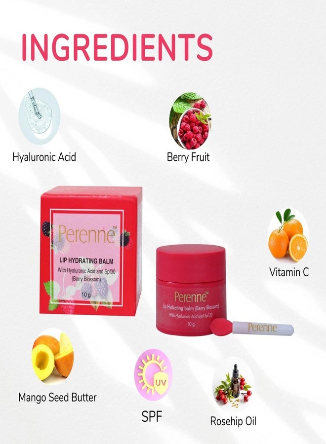 Perenne Pack Of Lip Hydrating balm, Lip Lightening Scrub & Lip Sleeping Mask (Berry Blossom, 10gm x 3) - Image 4