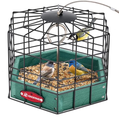 Kingsyard Squirrel Proof Platform Bird Feeders for Outdoor Hanging, 10" Wide Metal Caged Bird Feeder for Small Wildbirds Finches, Recycled Plastic Feeding Platform with Metal Seed Tray, Green - Image 1