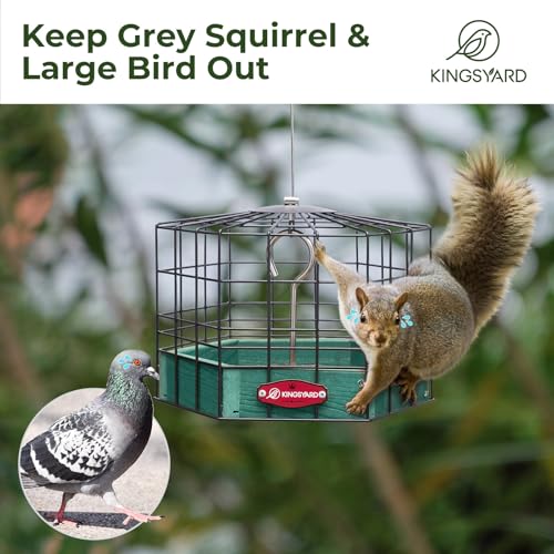 Kingsyard Squirrel Proof Platform Bird Feeders for Outdoor Hanging, 10" Wide Metal Caged Bird Feeder for Small Wildbirds Finches, Recycled Plastic Feeding Platform with Metal Seed Tray, Green - Image 4