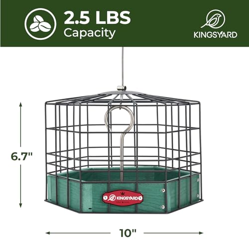 Kingsyard Squirrel Proof Platform Bird Feeders for Outdoor Hanging, 10" Wide Metal Caged Bird Feeder for Small Wildbirds Finches, Recycled Plastic Feeding Platform with Metal Seed Tray, Green - Image 5