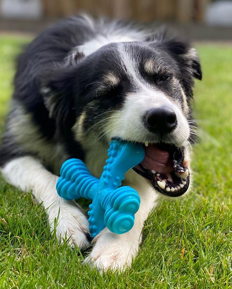 Nylabone Comfort Hold X-Bone Power Chew Toy for Dogs, Dog Toys for Aggressive Chewers, Beef Flavor, Large - Up to 50 lbs, 1 Count - Image 3