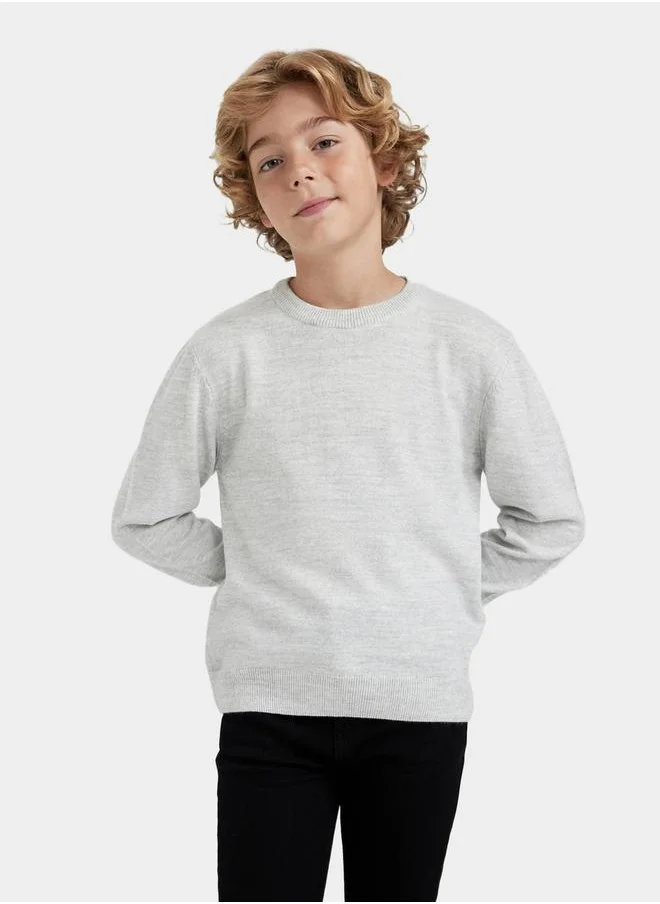 ديفاكتو Regular Fit Crew Neck Knit Sweater