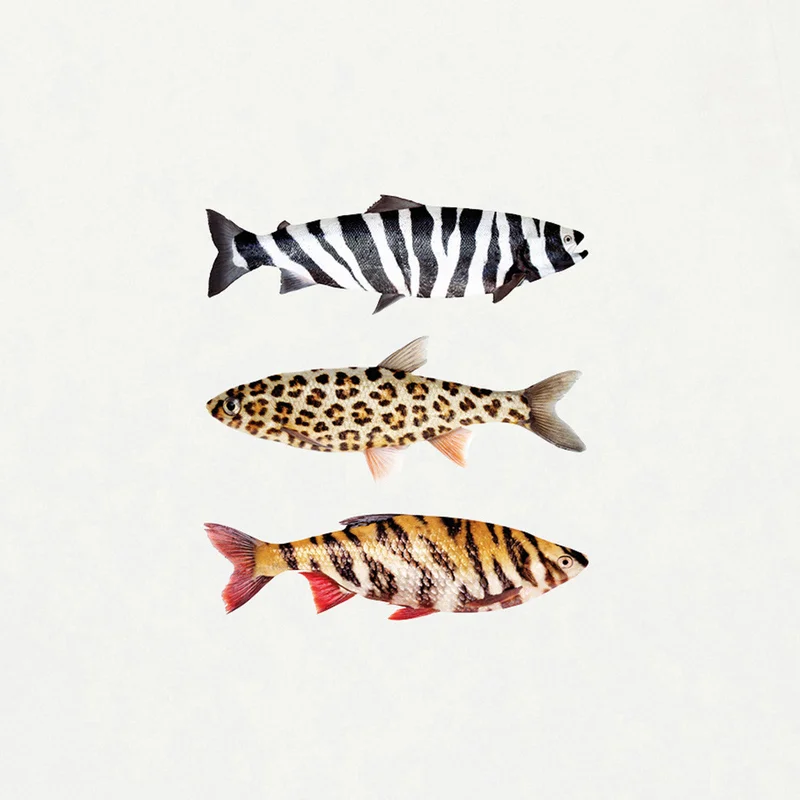Bask in the Sun Wildfishes T-Shirt 100% Organic Cotton