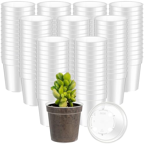 Yaomiao 80 Pcs 3 Inch Clear Mini Plastic Plant Pot Nursery Seedling Pots Seed Starter with Drainage Holes for Indoor Outdoor Garden Succulent Plants Cuttings Transplanting - Image 1