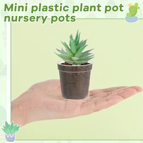 Yaomiao 80 Pcs 3 Inch Clear Mini Plastic Plant Pot Nursery Seedling Pots Seed Starter with Drainage Holes for Indoor Outdoor Garden Succulent Plants Cuttings Transplanting - Image 4