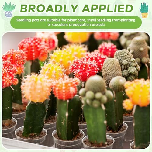 Yaomiao 80 Pcs 3 Inch Clear Mini Plastic Plant Pot Nursery Seedling Pots Seed Starter with Drainage Holes for Indoor Outdoor Garden Succulent Plants Cuttings Transplanting - Image 5