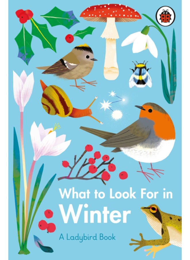 What to Look For in Winter 