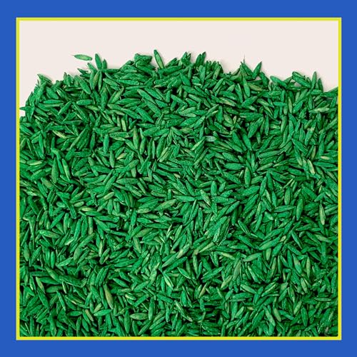 Pennington Smart Seed Clover and Grass Mix 7 lb - Image 3