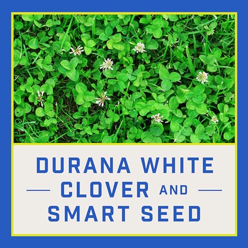 Pennington Smart Seed Clover and Grass Mix 7 lb - Image 4