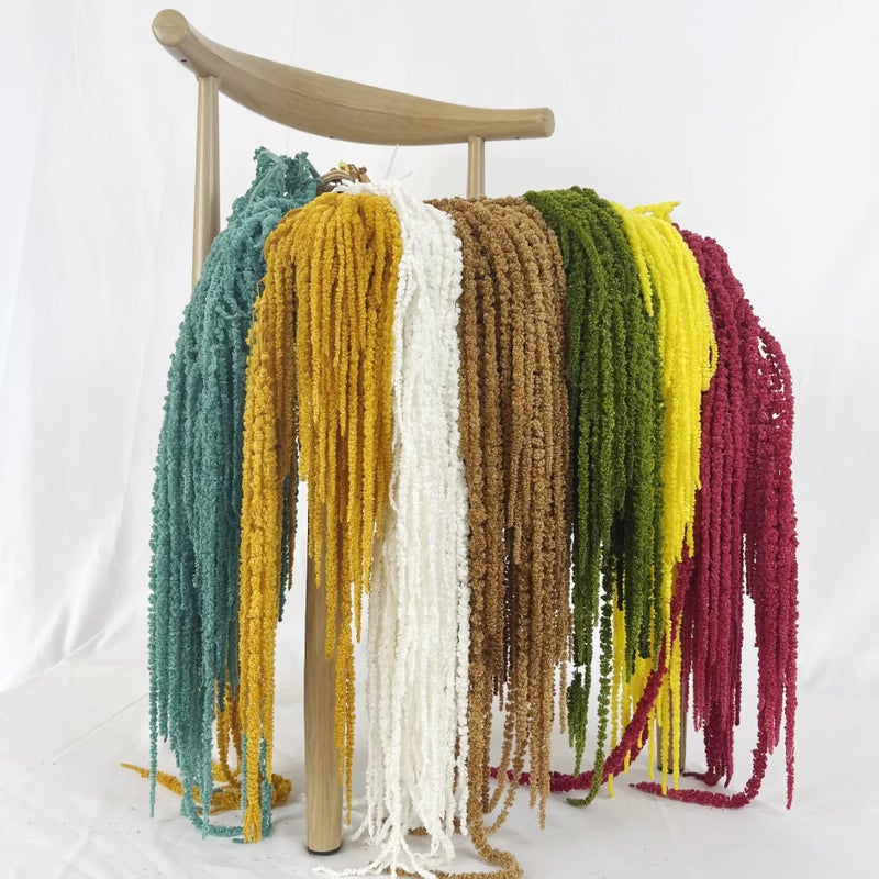 Bluejw Lovebay Natural Dried Amaranthus Caudatus – Long Bleached Preserved Real Hanging Amaranth Flowers for Wedding & Home Decor - Image 2