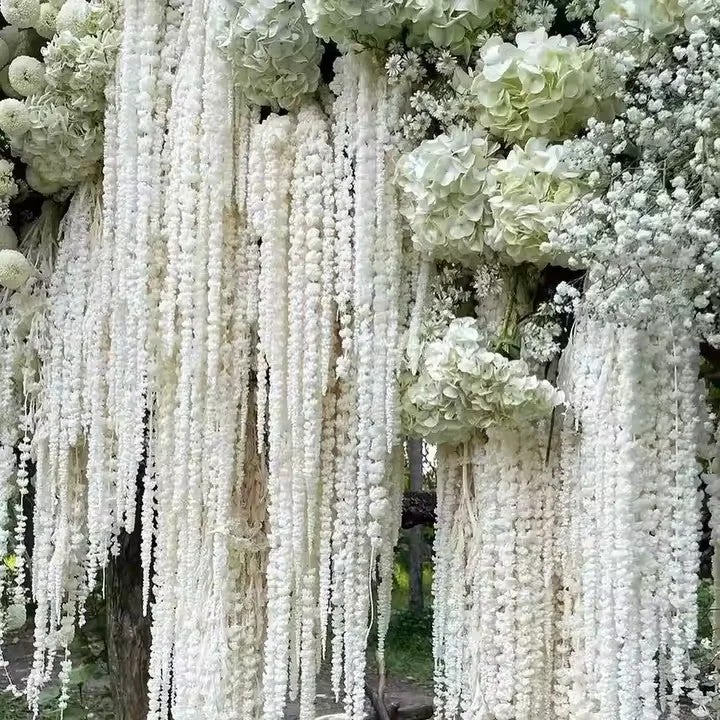 Bluejw Lovebay Natural Dried Amaranthus Caudatus – Long Bleached Preserved Real Hanging Amaranth Flowers for Wedding & Home Decor - Image 4