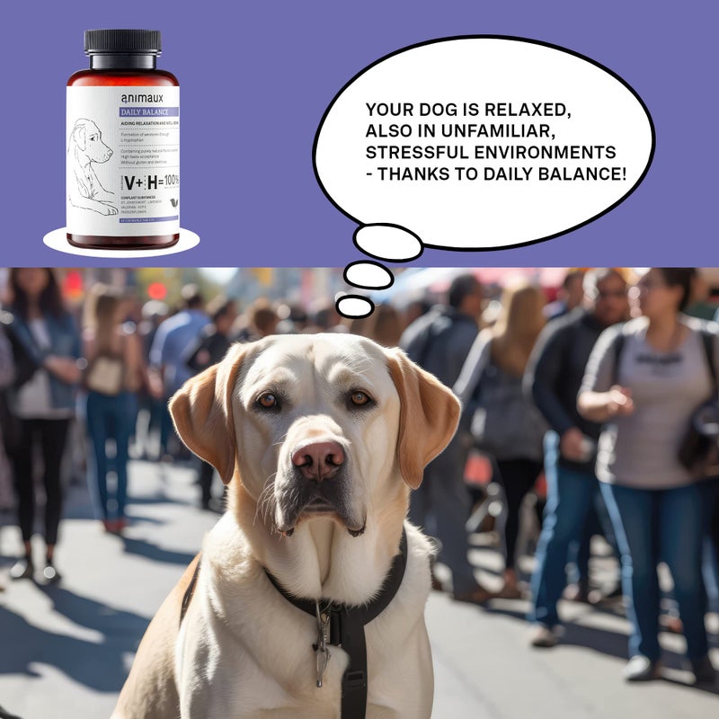 animaux Daily Balance â€“ 40 Chewable Tablets for Dogs with Valerian, St. John's Wort & Lavender | Herbal Supplement for Dogs - Image 5