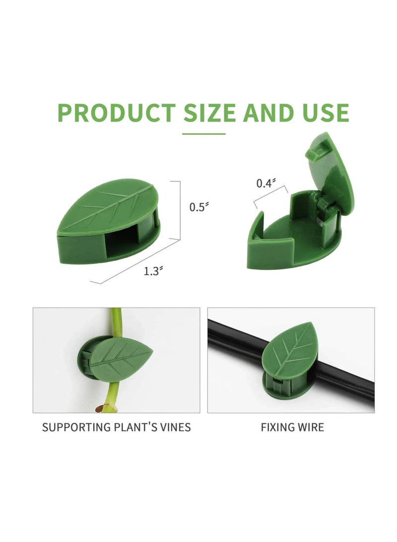درامــــــا هوم  مشبك تثبيت النباتات المتسلقة خضراء 12 قطعة3X2X1 سم - Image 5