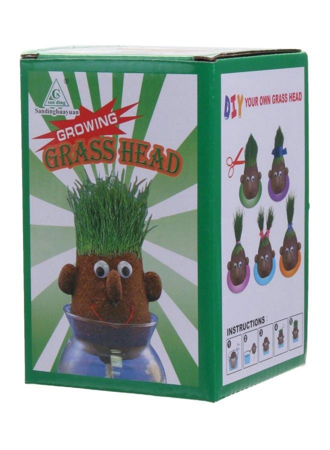 Letbo Creative And Educational, Learning Growing Grass Head Craft Indoor For Kids inch - Image 1
