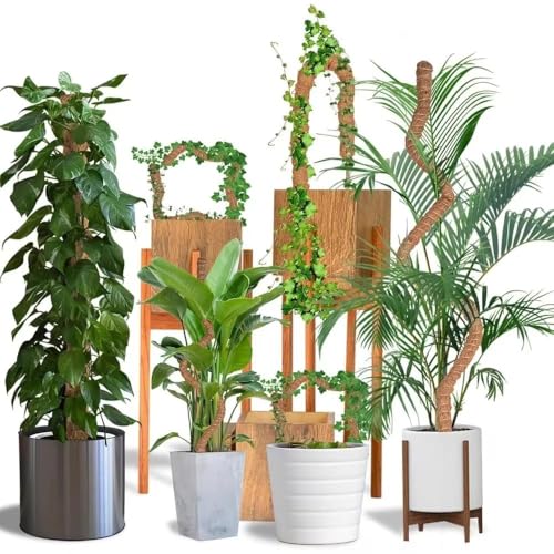 Craft911 Moss Pole Monstera Plant Support – 48” Bendable Moss Pole Monstera Plant Support, Plant Stakes for Indoor Plants, Tall Plant Sticks Support for Climbing Plants - Image 4