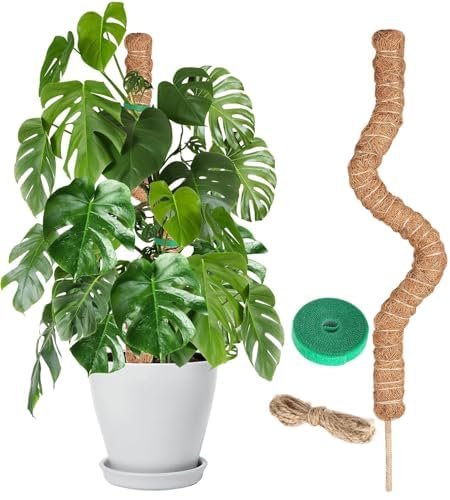Craft911 Moss Pole Monstera Plant Support – 48” Bendable Moss Pole Monstera Plant Support, Plant Stakes for Indoor Plants, Tall Plant Sticks Support for Climbing Plants - Image 1