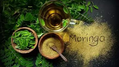 Nourcery Pure Moringa Leaf Powder (200g) | 100% Organic Moringa Powder | Drumstick Leaves Powder | Immunity Booster | Anti-Oxidant | Good for Hair & Skin - Image 5