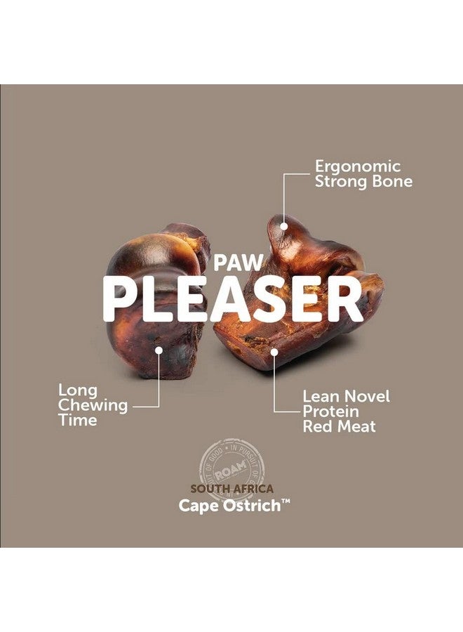 ROAM Pet Treats Le Petite Gnaw-Kle Ostrich Knuckle Small Dog Chew for Small Dogs (Pack of 2) - Image 3