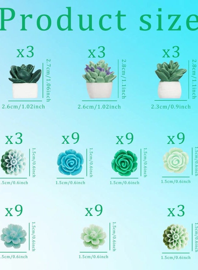 Gansita 60 PCS Decorative Push Pins Set, Succulent Plants & Flowers Rose Thumb Tack Decorative Cute Push pins for Cork Board Bulletin Board Maps Photos Wall Home Office Classroom Decoration - Image 2