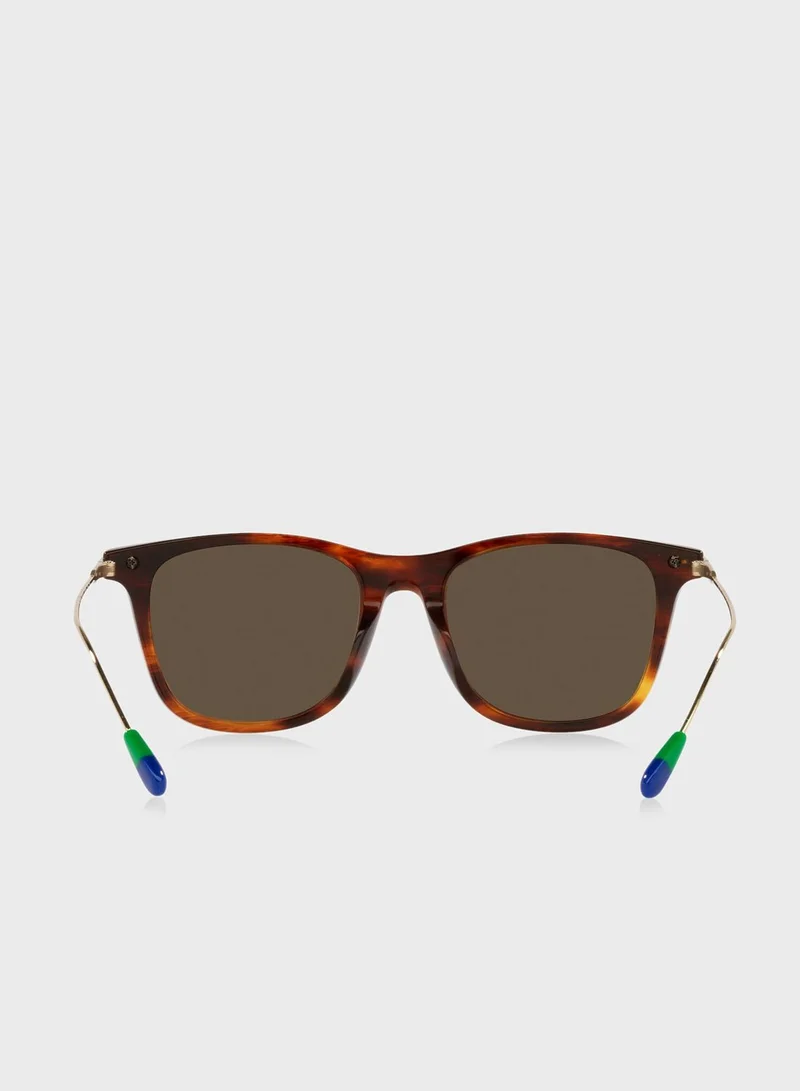 POLO RALPH LAUREN  0Ph4179U Pillow Sunglasses for Men | Best Price UAE