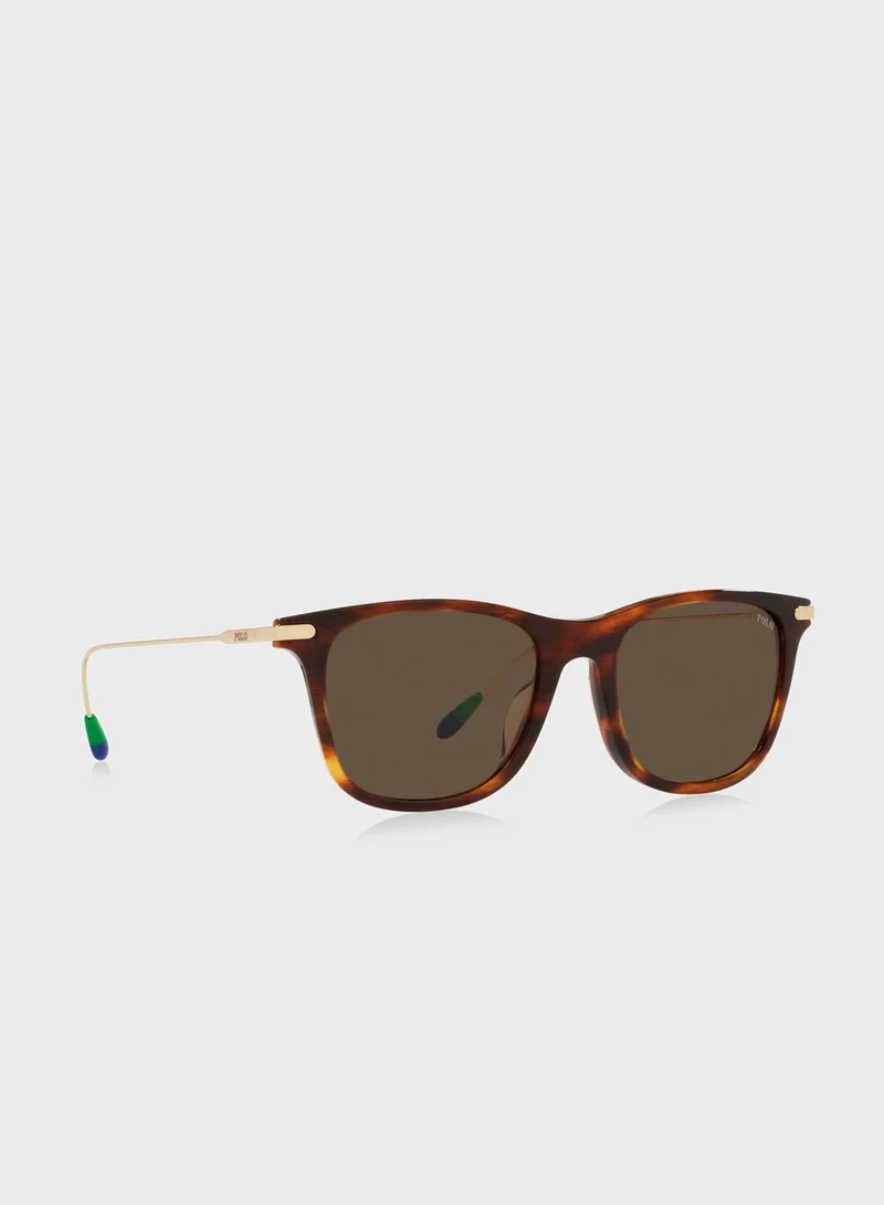 POLO RALPH LAUREN  0Ph4179U Pillow Sunglasses for Men | Best Price UAE