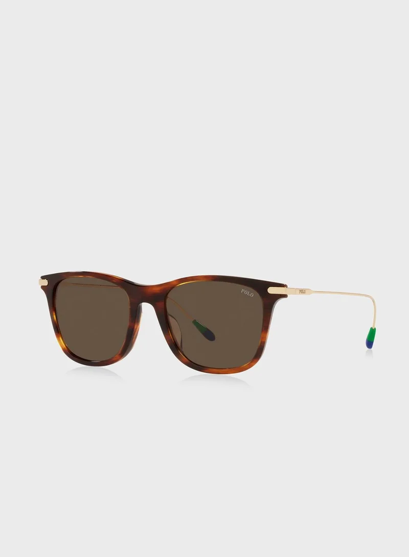 POLO RALPH LAUREN  0Ph4179U Pillow Sunglasses for Men | Best Price UAE