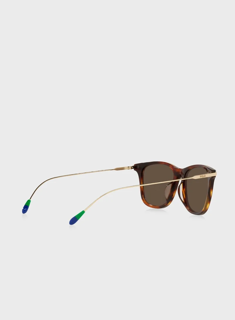 POLO RALPH LAUREN  0Ph4179U Pillow Sunglasses for Men | Best Price UAE