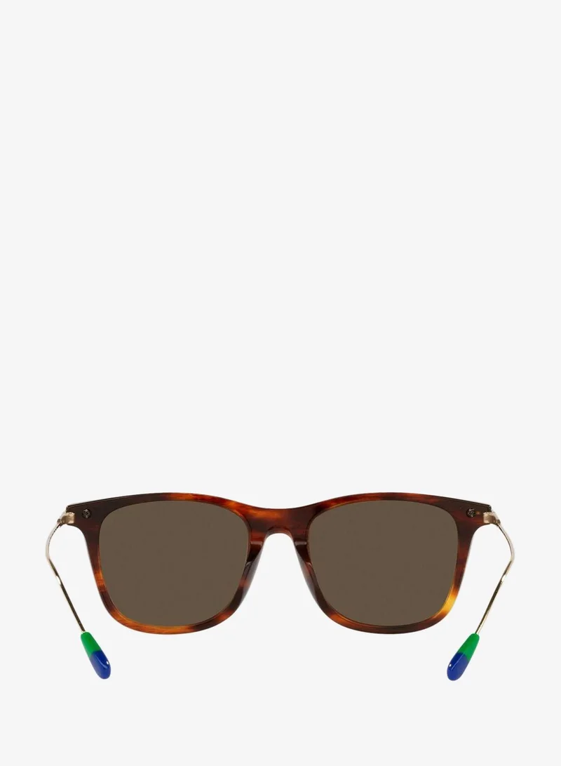 POLO RALPH LAUREN 0Ph4179U Pillow Sunglasses