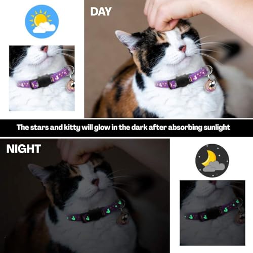 TecoKart Cat Collar with Bell, 2 Pack Adjustable Cat Neck Collar Belt with Safety Buckle and Night Glow, Soft Kitten Collar for Cats and Kittens – Black & Purple - Image 4
