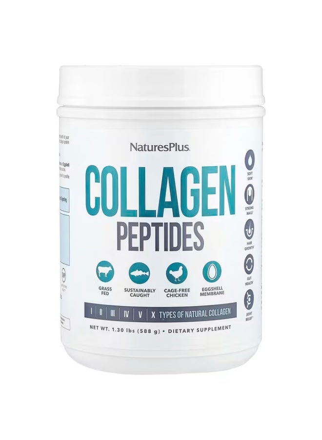 ناتشرز بلس نيتشرز بلس، ببتيدات الكولاجين، 1.3 رطل (588 غرام)