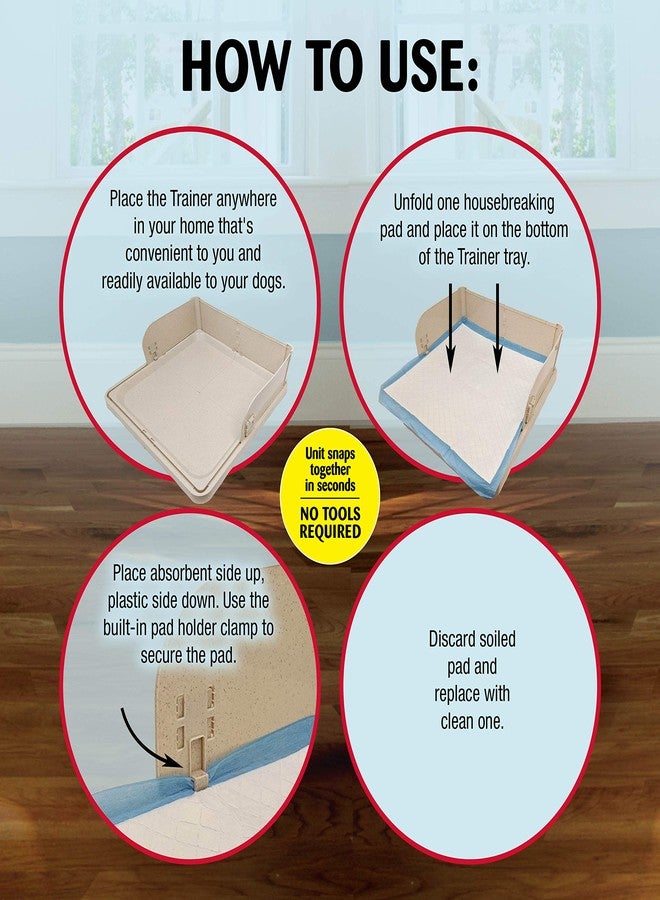 فور باوز صينية تدريب الجراء من فور باوز وي-وي أون تارجت - Image 4