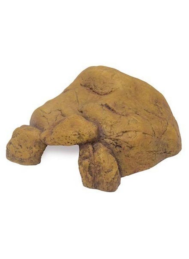 إكسو تيرا كهف الزواحف إكسو تيرا، كبير جدًا 