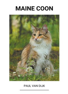 Paul Van Dijk Maine Coon  - Image 2