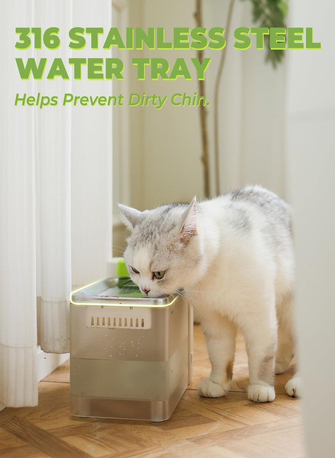 موزع مياه الشرب الأوتوماتيكي من فيربولوس ترو كلين بتقنية الترشيح الفائق، مصنوع من الفولاذ المقاوم للصدأ 316 وصواني خالية من مادة BPA، وعاء سعة 3.3 لتر/112 أونصة، نافورة ثنائية الوضع للقطط/الكلاب متوسطة الحجم/الحيوانات الأليفة (أسود، 3 UF) - Image 5