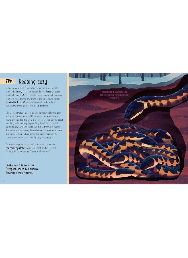 Snakes (A Day in the Life): What Do Cobras, Pythons, and Anacondas Get Up to All Day?