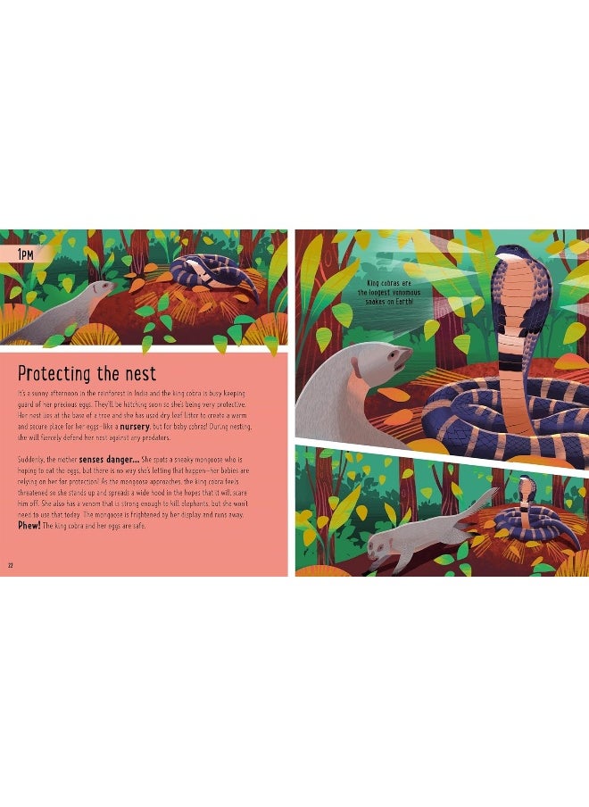Snakes (A Day in the Life): What Do Cobras, Pythons, and Anacondas Get Up to All Day?