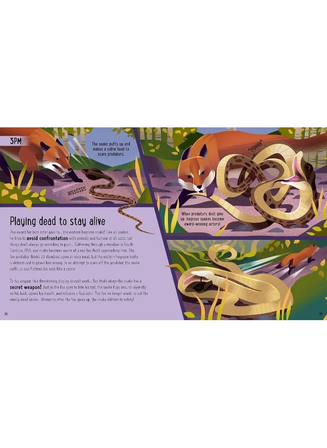 Snakes (A Day in the Life): What Do Cobras, Pythons, and Anacondas Get Up to All Day?
