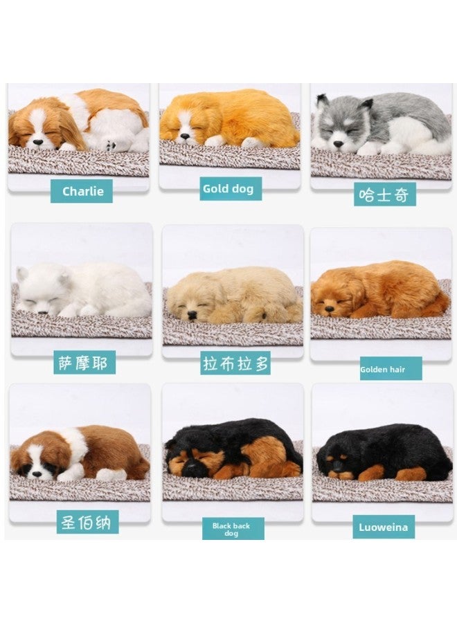 Car Decoration Simulation Cat Dog Doll Plush Toy Children's Cognitive Birthday Gift Home Decoration Model-Color:Bamboo Charcoal Mini Charlie - Image 3