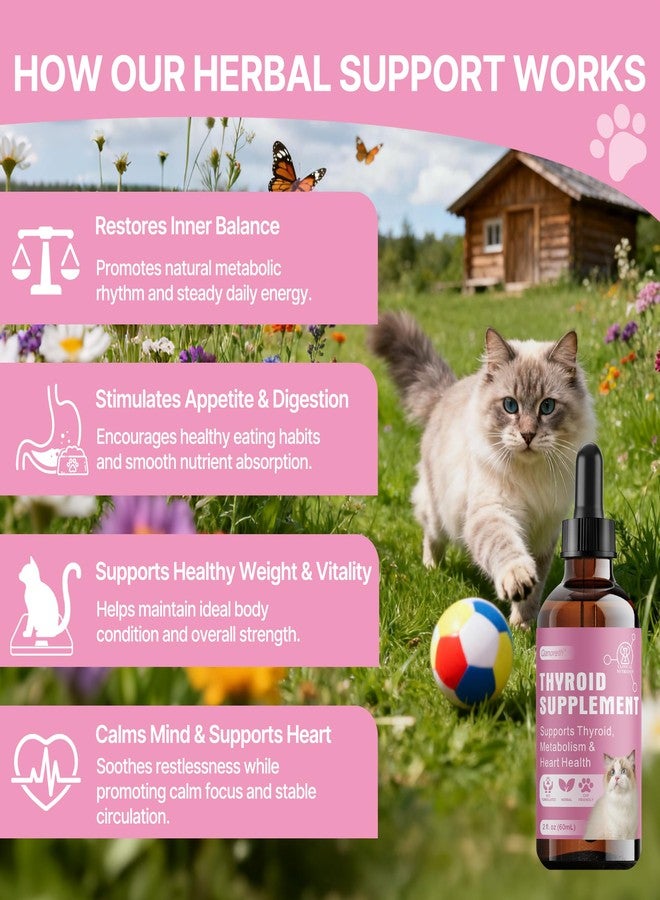 Qanoreth Thyroid Support for Cats, Natural Cat Appetite Stimulant & Cat Weight Gainer Drops – Helps Support Metabolism, Energy & Weight Gain for Cats – Vet-Formulated Herbal Liquid Supplement, 2 fl oz - Image 2