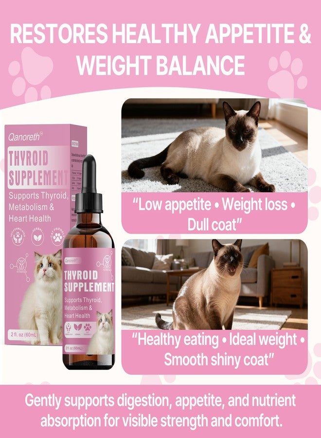 Qanoreth Thyroid Support for Cats, Natural Cat Appetite Stimulant & Cat Weight Gainer Drops – Helps Support Metabolism, Energy & Weight Gain for Cats – Vet-Formulated Herbal Liquid Supplement, 2 fl oz - Image 4