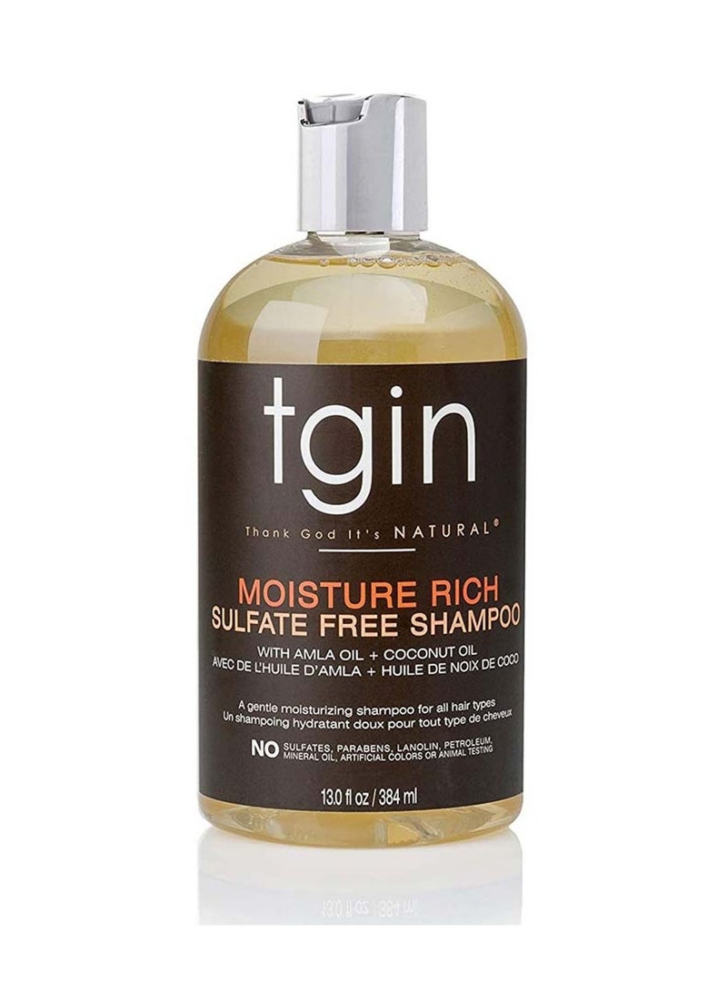 Tgin Tegen Moisture Sulfate Shampoo for Natural Hair - Dry Hair - Frizzy Hair - 13 oz 384 ml - Image 1