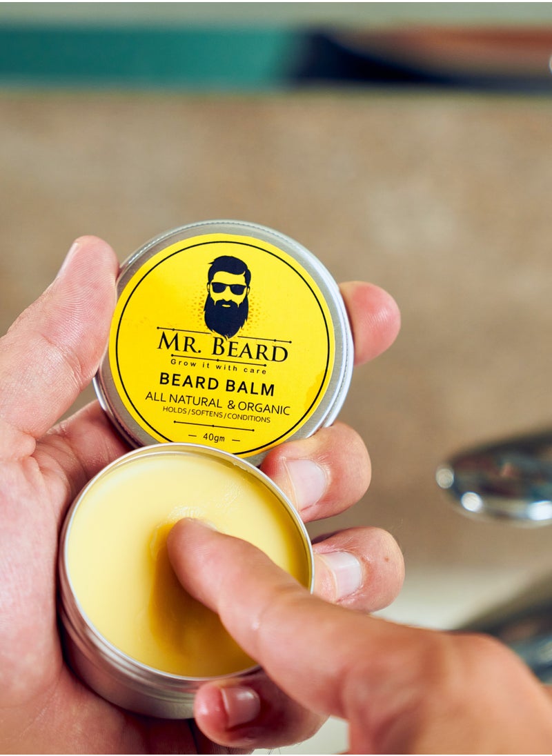Master's Beard Care Kit for Men with Bristle Beard Brush, Wooden Beard Comb, Beard Balm, Beard Oil, Beard Wax, Beard Shampoo - Packaging May Vary