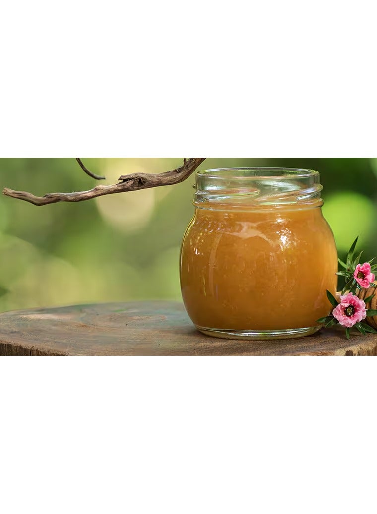 DownUnder Honey DownUnder Manuka Honey UMF5+(MGO 83+), 250g  - Image 3