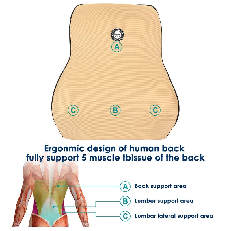 Oshotto Air Fabric Lumbar Support for Office Chair Back Pillow for Car Memory Foam Orthopedic Cushion Provides Low Back Support Compatible with Toyota Innova Crysta Beige - Image 4