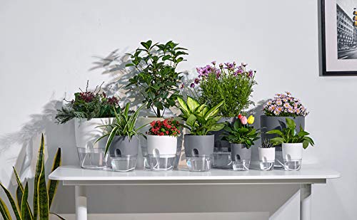 ETGLCOZY 6/4.1/3.2 Inch Self Watering Planter Pots, 5 Pack African Violet Pots for Indoor Outdoor Windowsill Gardens, Self Aerating, High Drainage, Deep Reservoir(Gray) - Image 5
