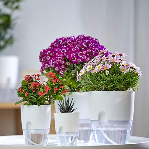 ETGLCOZY 6/4.1/3.2 Inch Self Watering Planter Pots, 5 Pack African Violet Pots for Indoor Outdoor Windowsill Gardens, Self Aerating, High Drainage, Deep Reservoir(Gray) - Image 2